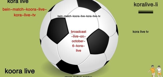 between the Spanish national team and the Japanese